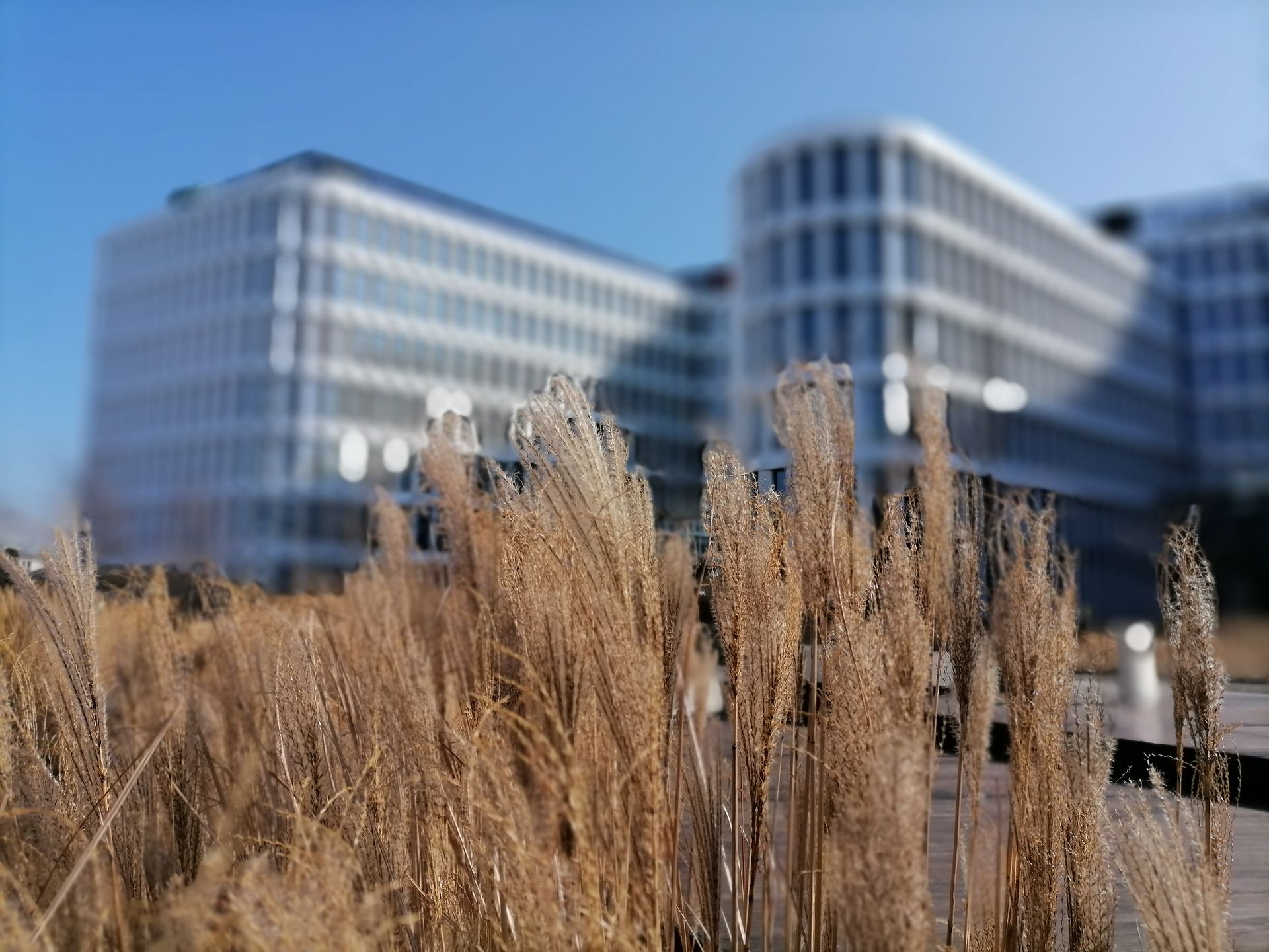 Huawei P40 lite E: wrażenia po kilku dniach. Czy to był odlot? 10