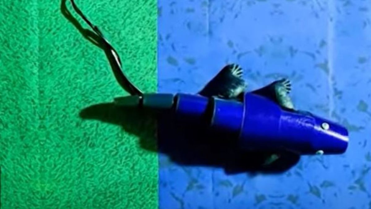 Robot jedyny w swoim rodzaju. Zmienia barwy jak kameleon 1