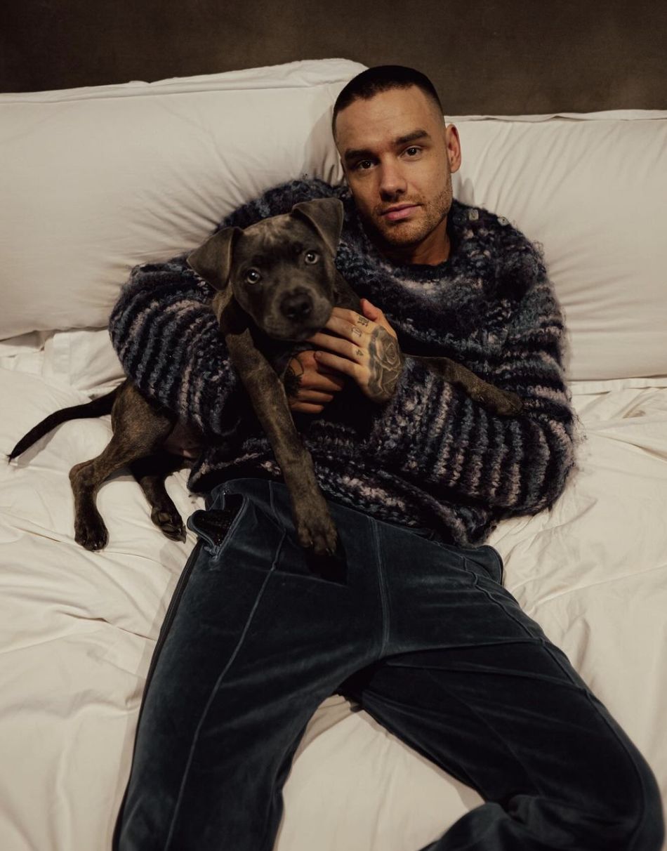 Tak zmieniał się Liam Payne