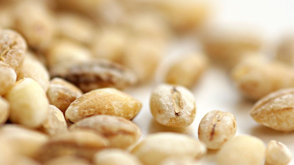 Kasza pęczak to jedna z najmniej przetworzonych kasz