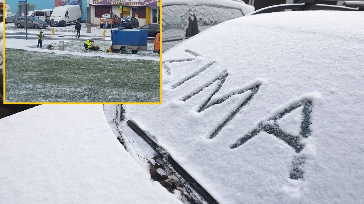 Kosili trawę pod śniegiem 