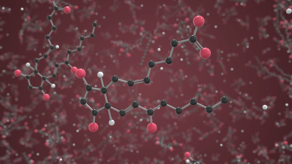 Prostaglandyny to hormony, które powstają na skutek pobudzenia nerwowego, we wszystkich tkankach i komórkach organizmu