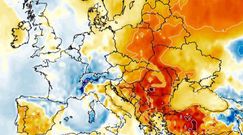 Pogoda na Wielkanoc. Synoptyk z IMGW o prognozie na święta