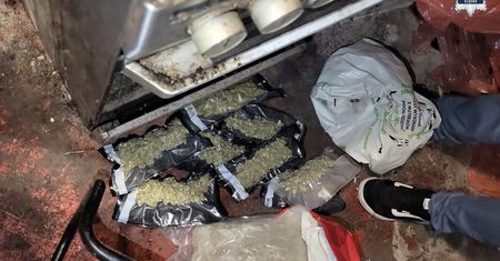 Śląska policja rozbiła gang przemytników marihuany. Narkotyki trafiały do Polski aż ze Stanów Zjednoczonych