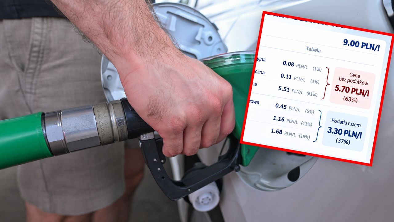 Litr paliwa za 9 zł. Oto ile kosztowałby bez podatków