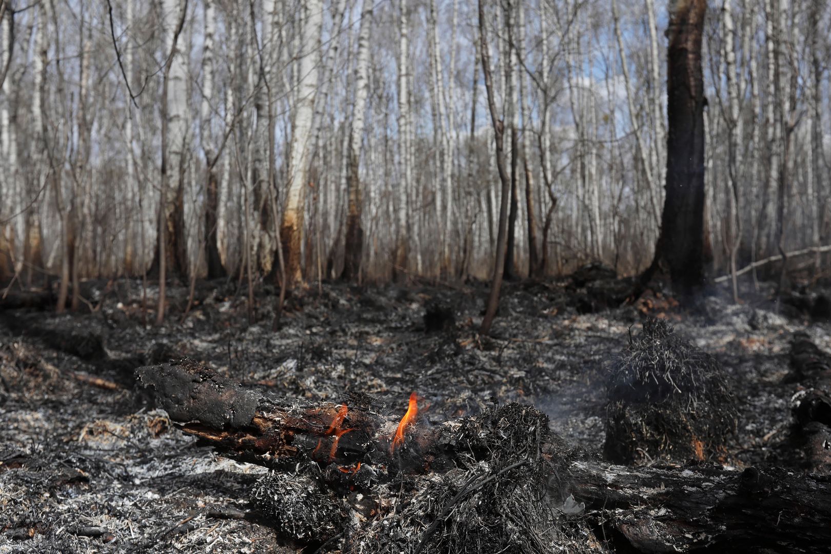Pożar objął 6 tys. hektarów Biebrzańskiego Parku Narodowego