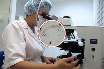 "Robak zombie" z Syberii. Przetrwał 24 tys. lat. Naukowcy właśnie go rozmrozili