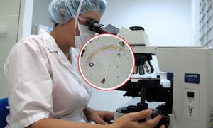 "Robak zombie" z Syberii. Przetrwał 24 tys. lat. Naukowcy właśnie go rozmrozili