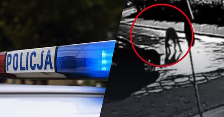Policja zatrzymuje, prokuratura wypuszcza. Już 11 osób wyszło na wolność