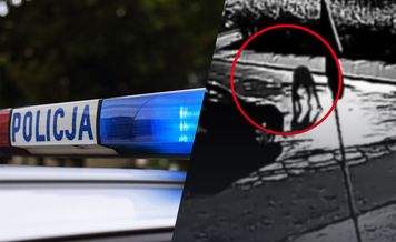 Policja zatrzymuje, prokuratura wypuszcza. Już 11 osób wyszło na wolność