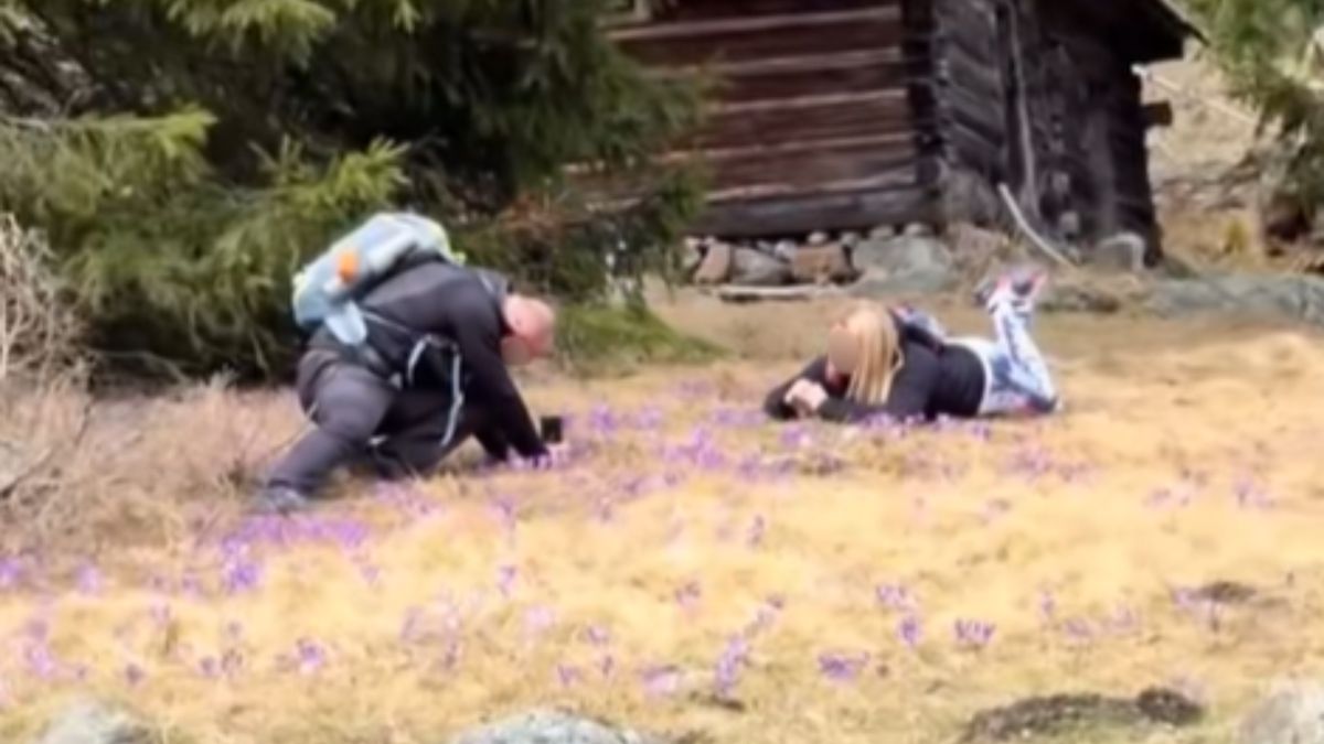 Skandal w Dolinie Chochołowskiej.