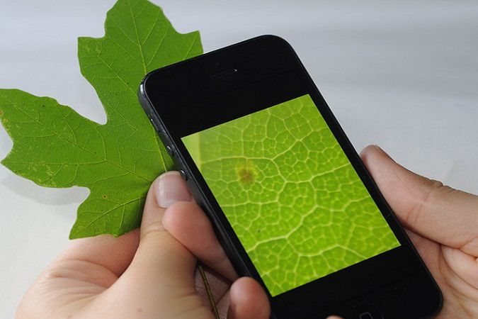 Micro Phone Lens 150x. Smartfon jak mikroskop?!