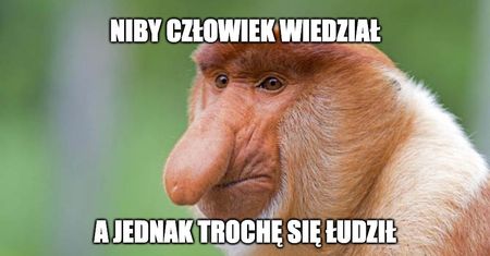 Zero zaskoczenia: paliwa drożeją. Tankuj dziś, bo będzie tylko drożej