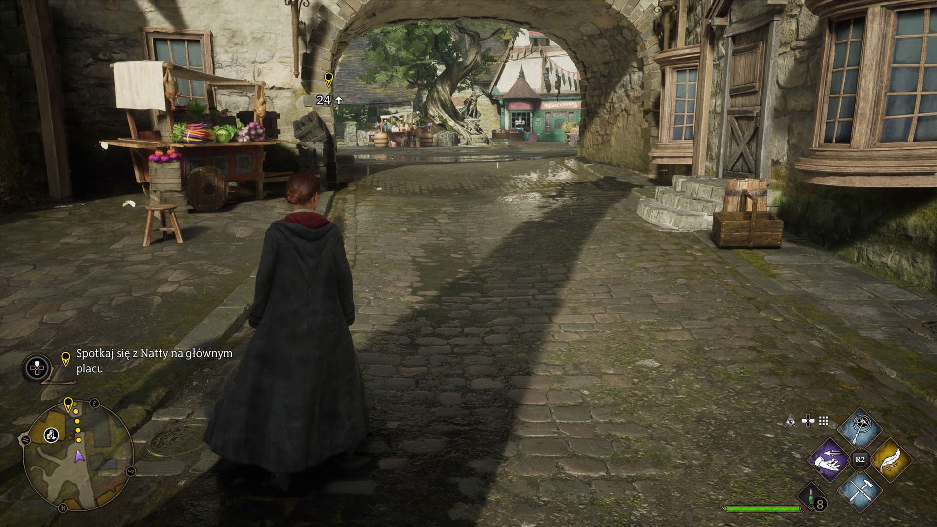 Hogwarts Legacy na PS5