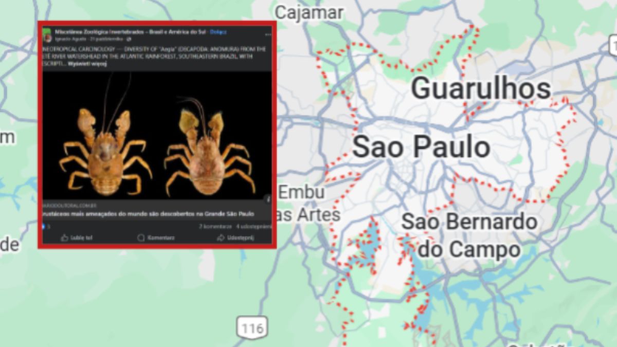 Dwa nieznane nauce gatunki skorupiaków