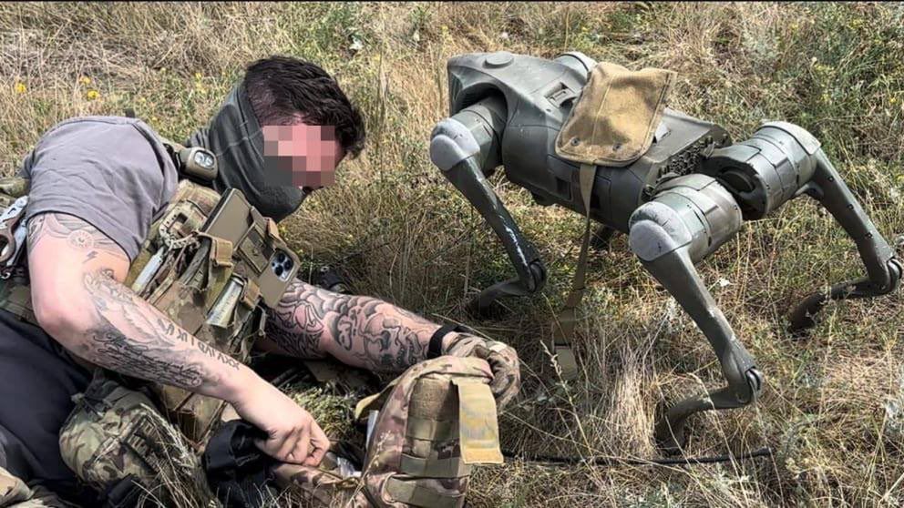 Nowe uzbrojenie ukraińskiej armii. Roboty-psy już pomagają na froncie