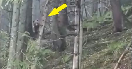 Turysta wybrał się nad Morskie Oko w deszczowy dzień. Chwycił za telefon
