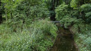 Kraków: Ważna umowa ws. ochrony przeciwpowodziowej