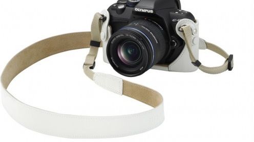 Olympus E-450 - lustrzanka dla początkujących artystów 1