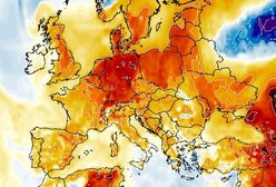 Uderzenie ciepła. Czy zima odejdzie ostatecznie?