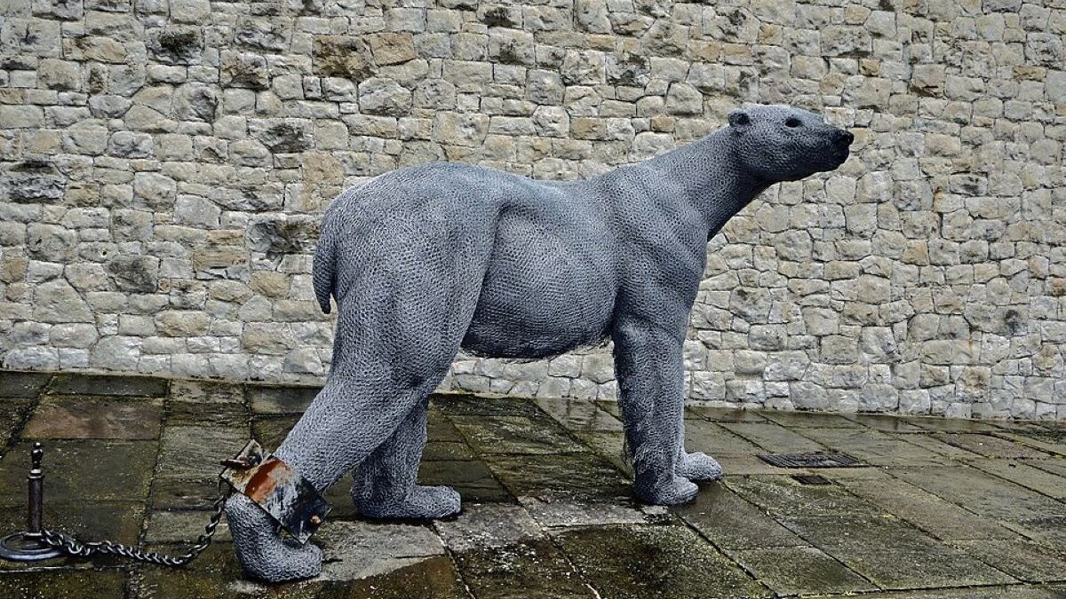 Współczesna rzeźba niedźwiedzia Kendry Haste w Tower of London