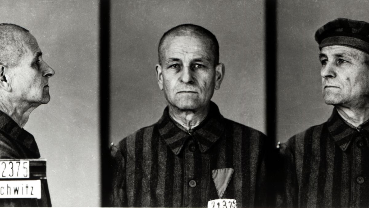 Wilhelm Brasse, polski fotograf Auschwitz, który zafascynował Hollywood 1