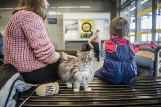 Zmienia się prawo dot. pomocy uchodźcom. Do kiedy trzeba złożyć wniosek o dopłaty za zakwaterowanie?