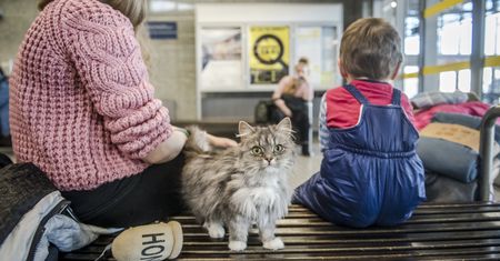 Zmienia się prawo dot. pomocy uchodźcom. Do kiedy trzeba złożyć wniosek o dopłaty za zakwaterowanie?