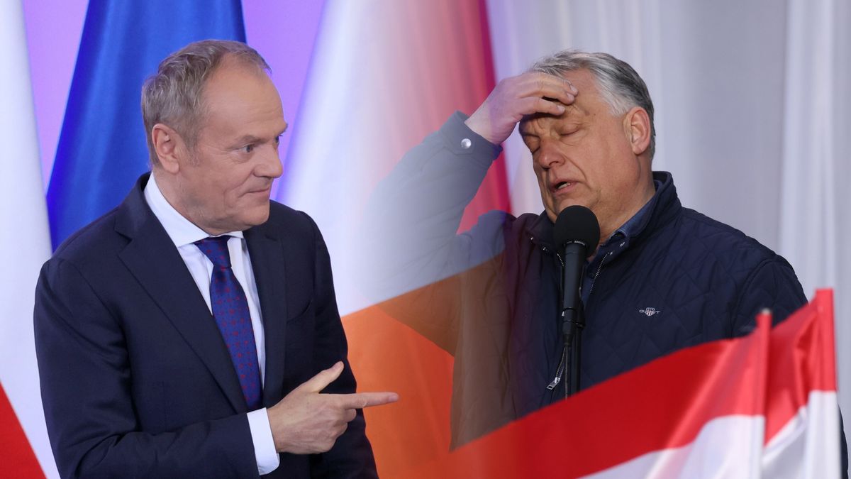 Premier Polski Donald Tusk/premier Węgier Viktor Orban