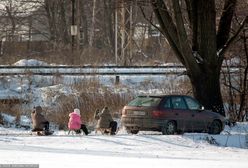 Planujesz kulig? Lepiej odpuścić ten pomysł. Łatwo o mandat