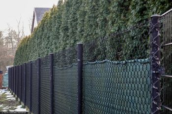 Sąsiad stawia ogrodzenie i chce pieniędzy? Oto co mówią przepisy