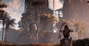 Horizon Zero Dawn już wkrótce na PC. Znamy konkretną datę i cenę