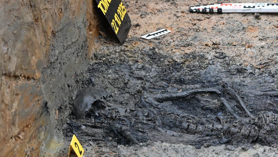 Pracownia archeologiczna Pomost