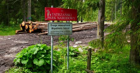 Tatry z dzieckiem – gdzie warto pójść, by było bezpiecznie i ciekawie?