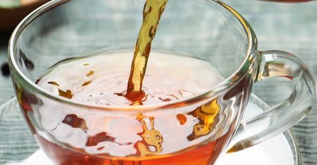 Stawia na nogi lepiej niż kawa i rozkręca metabolizm. Taką herbatę pili amerykańscy osadnicy