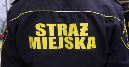Straż miejska może zapukać do drzwi. Brak wpisu grozi grzywną