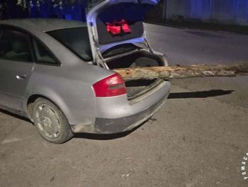 Iwaniska: Wracał z grzybów z czterema promilami i kłodą wystającą z bagażnika