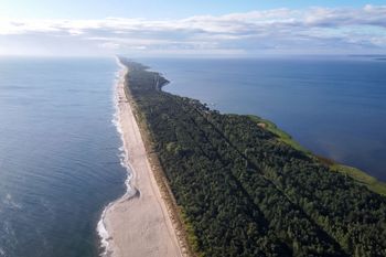 Chcą wyciąć ponad 600 drzew na Helu. Mieszkańcy protestują