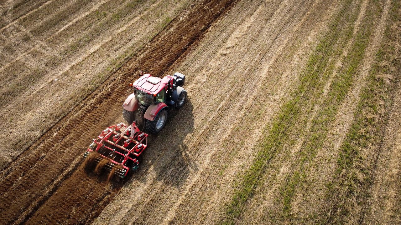 Emerytura dla rolnika. Tyle wynosi dla osób z 20 i 25-letnim stażem