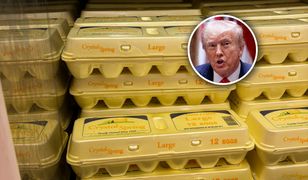 Trump: "Jajka to katastrofa". Sprawdziliśmy, ile kosztują w USA