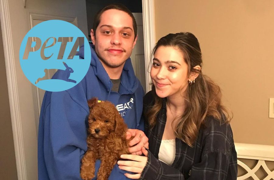 Pete Davidson ma konflikt z PETA