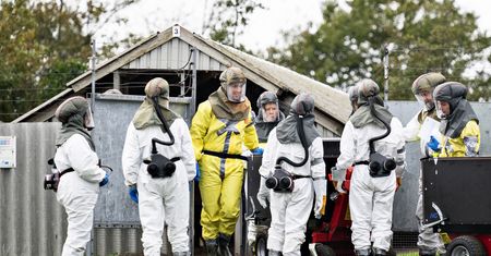 Koronawirus zmutował. Częściowy lockdown w Danii
