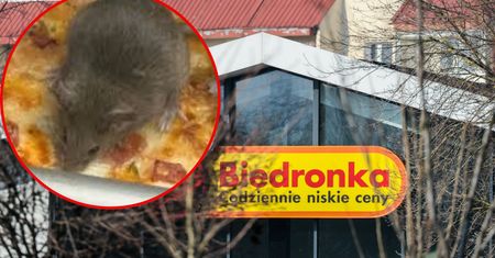 Mysz biegała po pieczywie w Biedronce. Incydent miał się powtórzyć