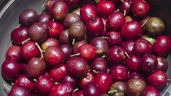 Egzotyczna śliwka, która oczyszcza organizm i wzmacnia odporność - poznaj mombin!