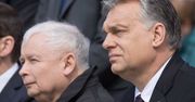 Kaczyński spotkał się z Viktorem Orbanem na szczycie państw Grupy Wyszehradzkiej