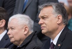 Kaczyński spotkał się z Viktorem Orbanem na szczycie państw Grupy Wyszehradzkiej