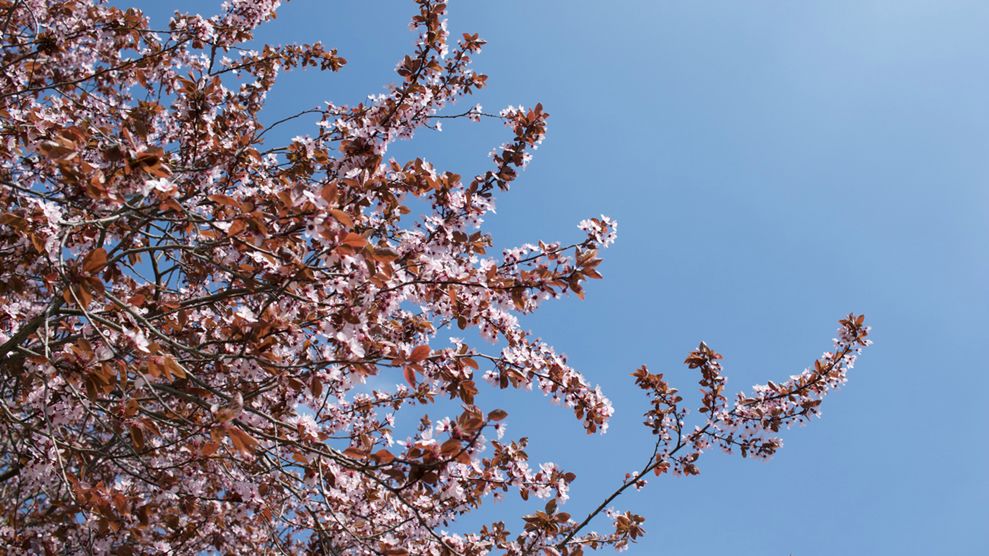 Canon EF-S 24mm f/2.8 STM - zdjęcia przykładowe 1