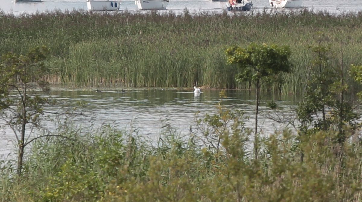Mazurskie jeziora w niebezpieczeństwie. Mówią o "wysychającej krainie"