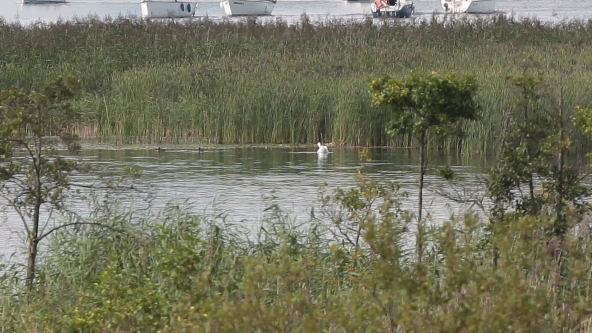 Jezioro Kirsajty (zdjęcie podglądowe)