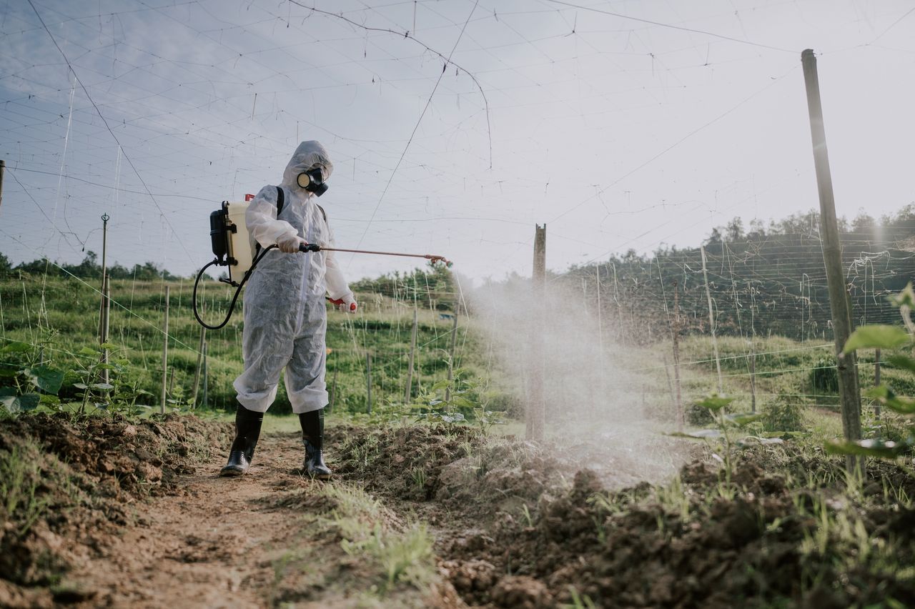 Glyphosate risks: Study links pesticide to brain damage